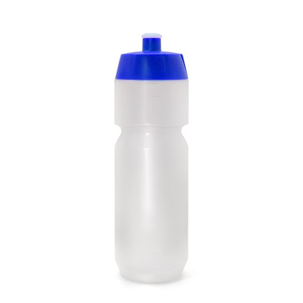 Ryder Bottle Neo Clear with Blue Cap 600ml