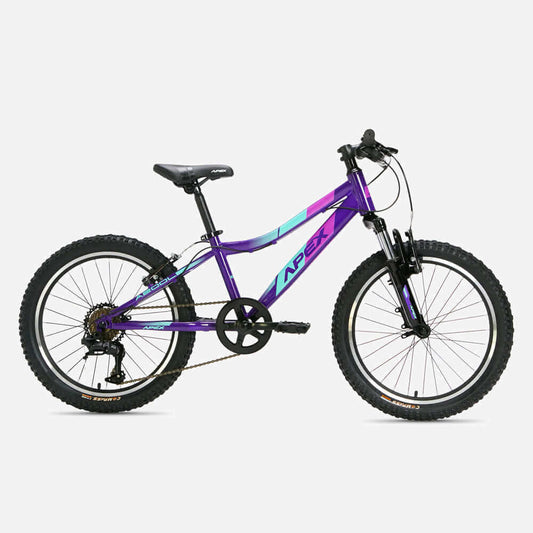 Apex A200 Ladies 20 Inch Steel MTB