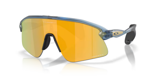 Oakley Stunt Devil Transpartent Abyss W/Prizm 24k